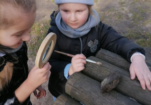 Dzieci biorące udział w wykopaliskach