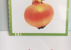 cebula plansza demonstracyjna