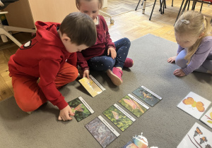 Dzieci układające zdjęcia różnych gatunków motyli .