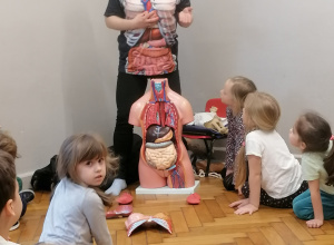 Zajęcia z anatomii