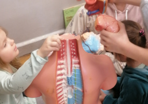 Dzieci podczas zajęć z anatomii człowieka.
