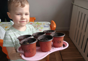 Chłopiec trzyma na tacy doniczki z posianym owsem