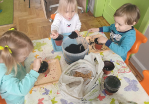 Dziewczynki wsypują ziemię do doniczek