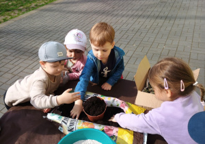 Dzieci wsypująziemiędodoniczek