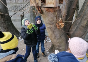 Dzieci oglądające zawieszony na drzewie karmnik.