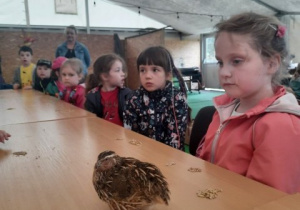 Dzieci oglądają małego ptaka na stole.