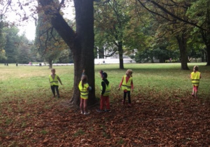Grupa dzieci obserwujących duże drzewo.