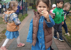 Dzieci szukają ukrytych jajek