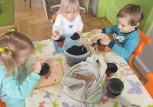 Dziewczynki wsypują ziemię do doniczek