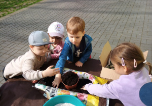 Dzieci wsypująziemiędodoniczek