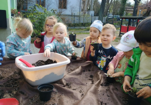 Dzieci sadzą swoje kwiatki do doniczek